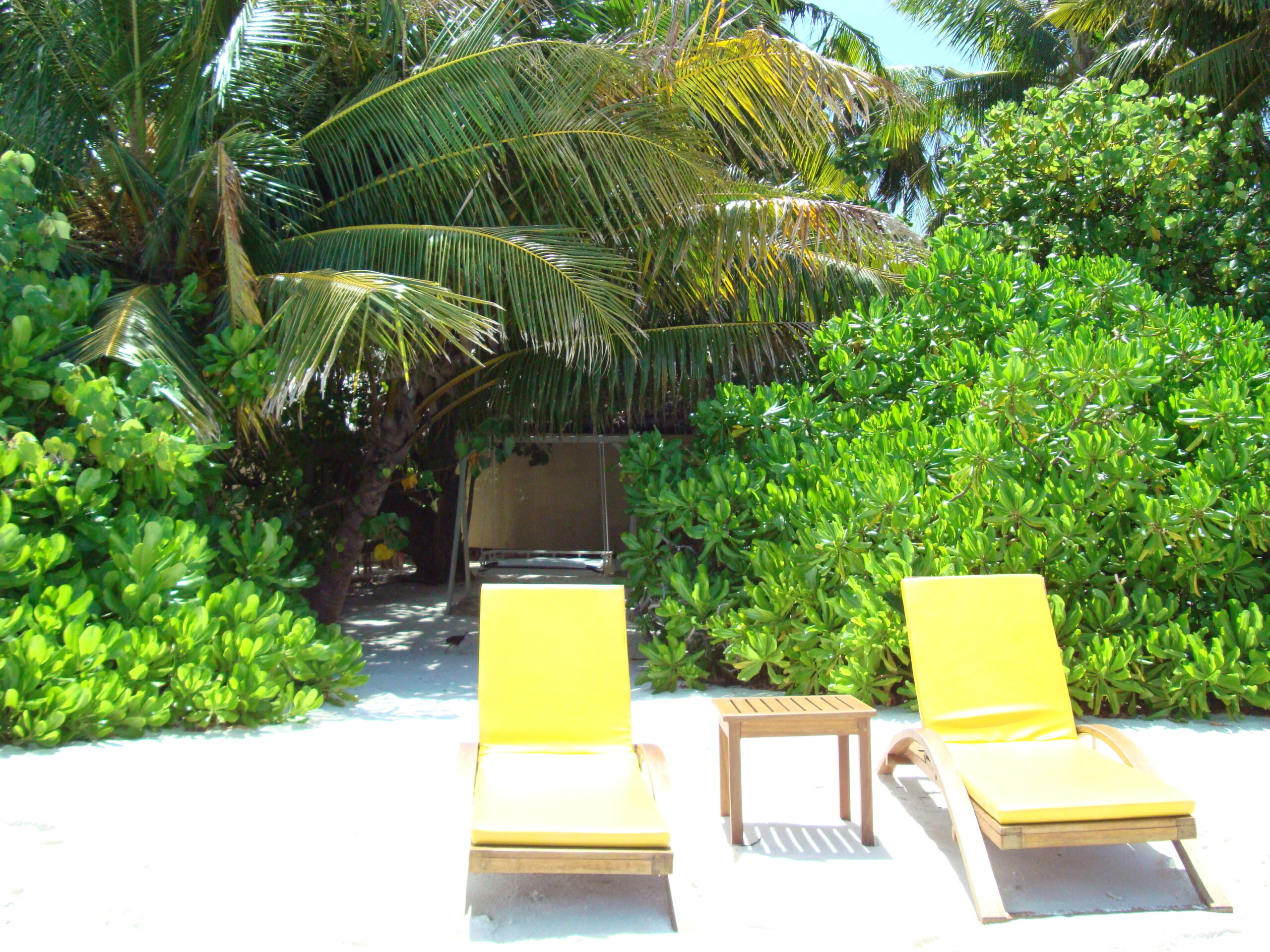Immagine Hotel