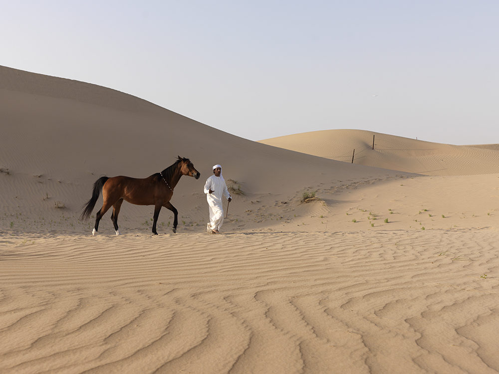 Arabia Saudita