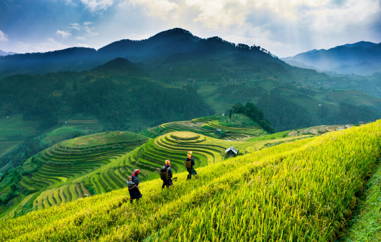 Vietnam