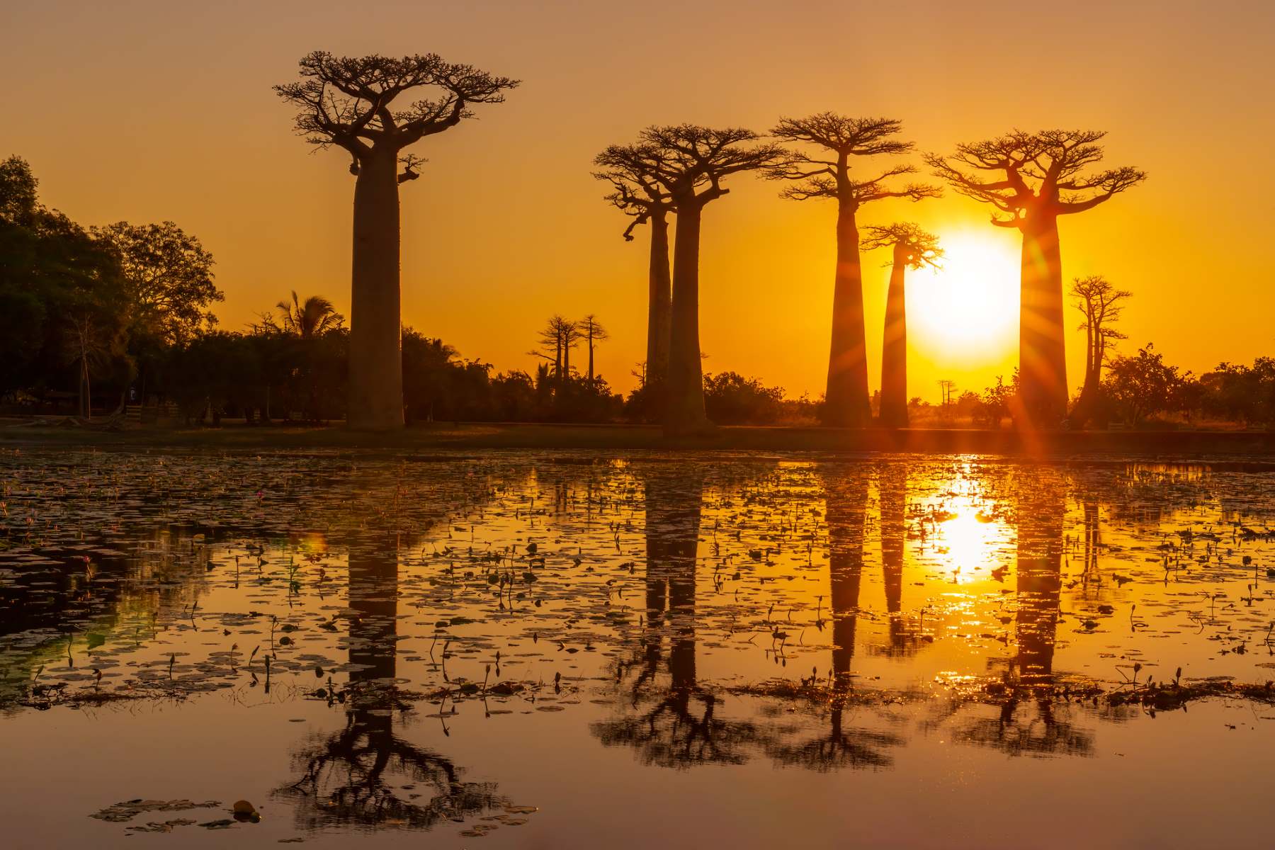 Madagascar