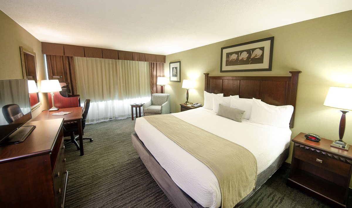 Immagine Hotel