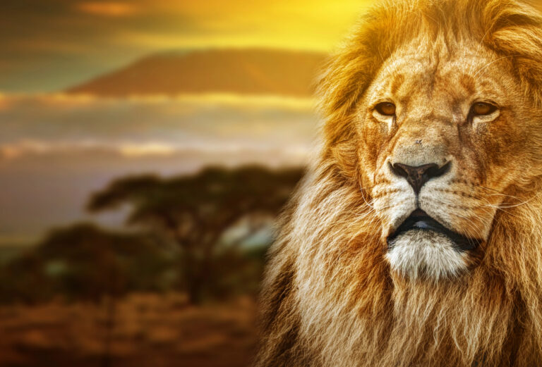 Kenya