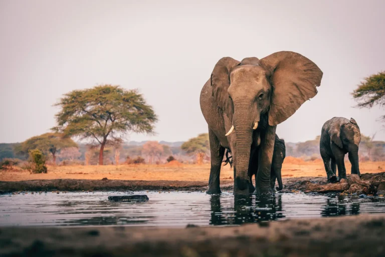 Sudafrica