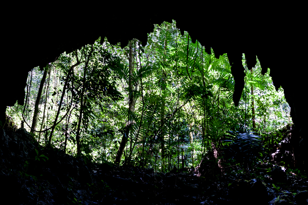 Verapaces (Cobán) - Candelaria