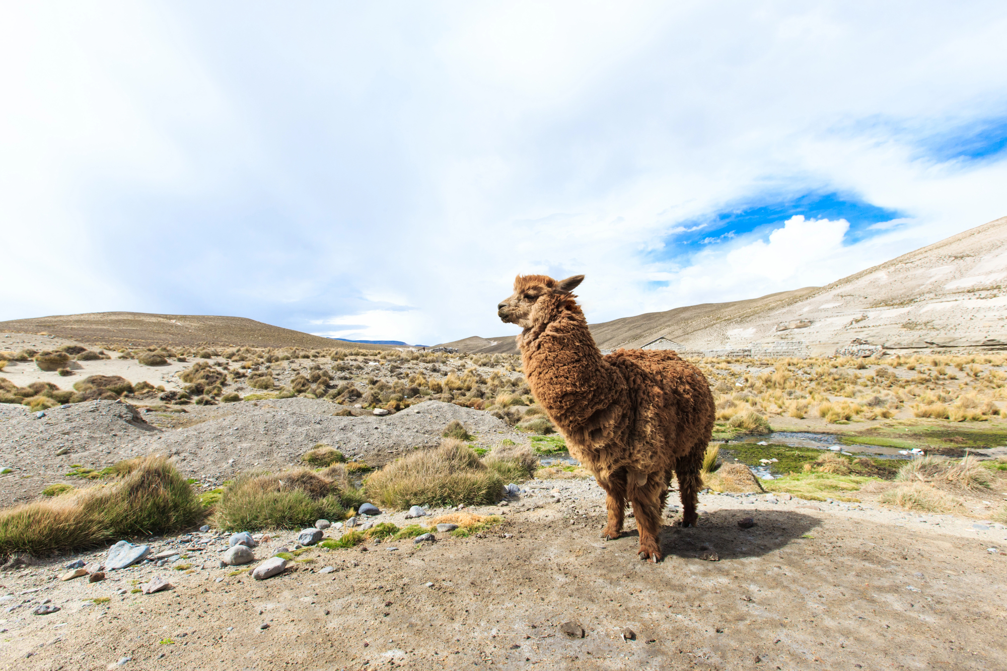 SUCRE - POTOSI - UYUNI - COLCHANI