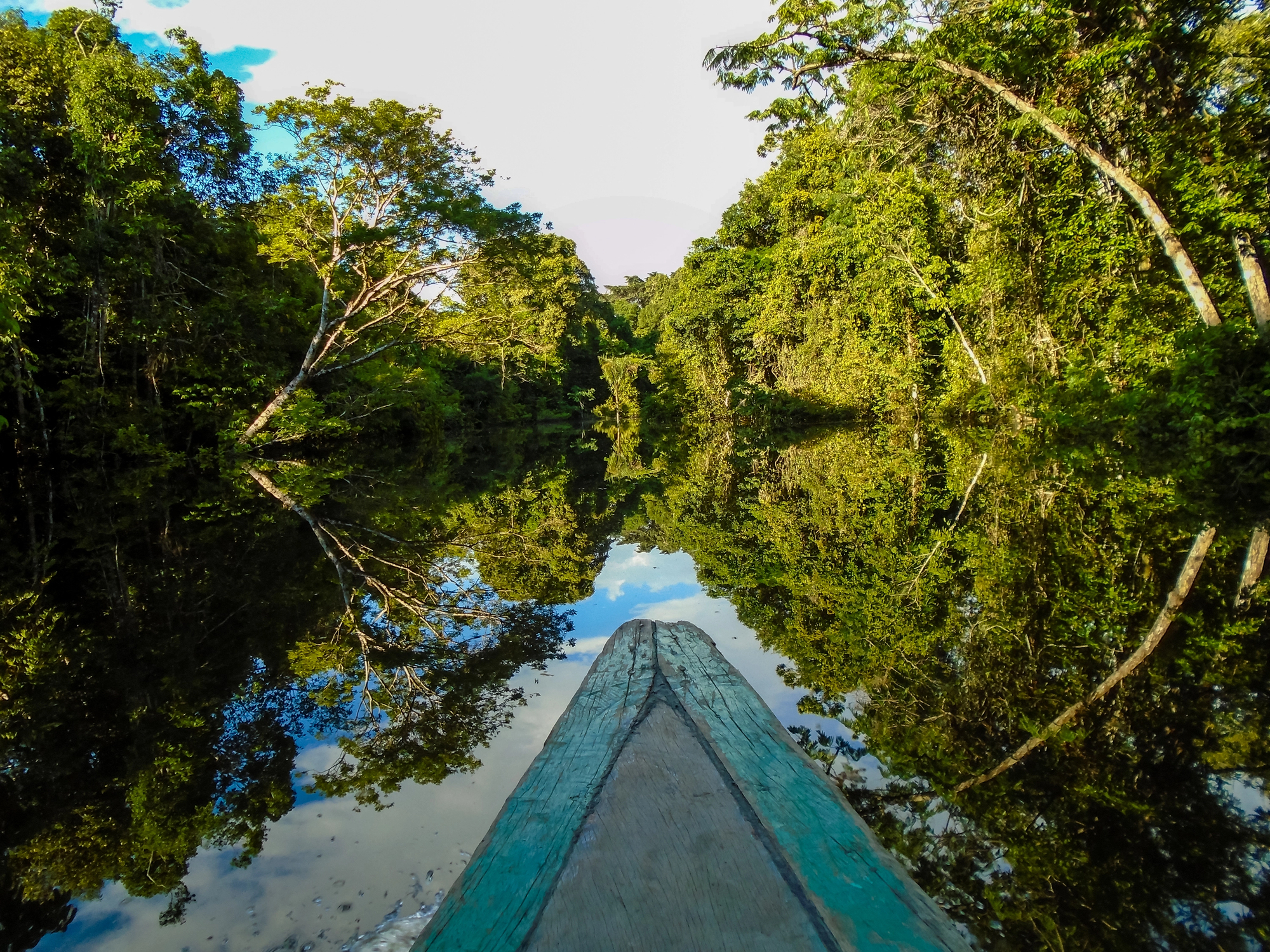Iguaçu -  Manaus - Amazzonia