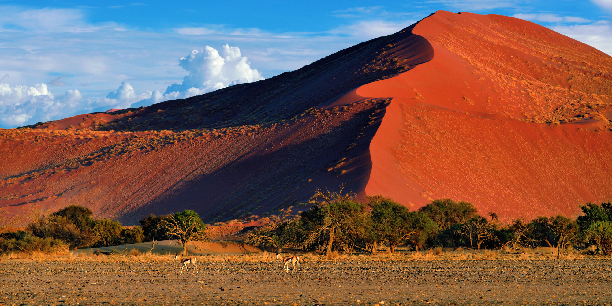 DESERTO DEL KALAHARI - NAUKLUFT NATIONAL PARK