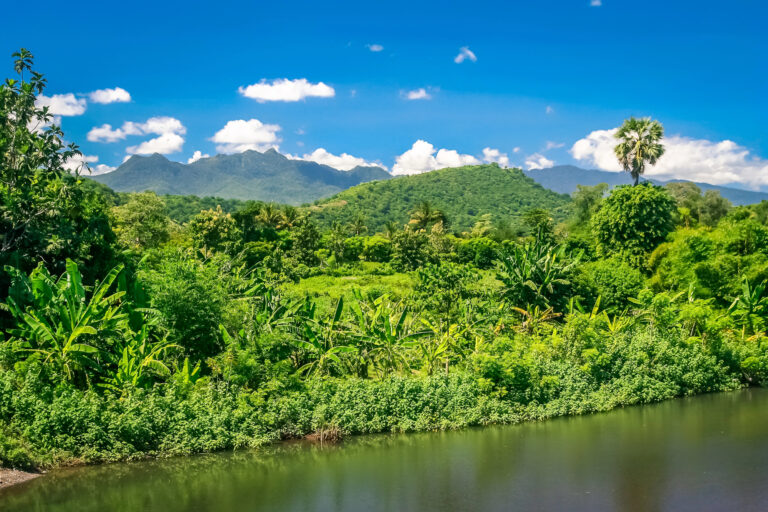Madagascar