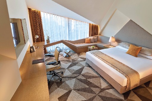VIVANTA DWARKA NEW DELHI 5*